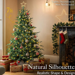 Nordmann Fir Christmas Tree, 6Ft