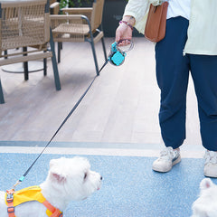 Automatic Retractable Dog Hand Holding Rope
