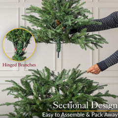 Nordmann Fir Christmas Tree, 6Ft