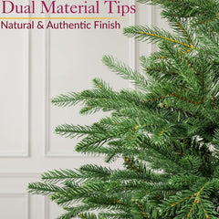 Nordmann Fir Christmas Tree, 6Ft