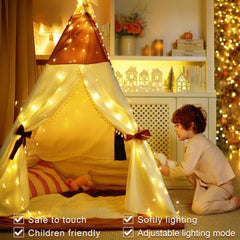 220LED Fairy Lights Mains Powerd with Remote & Timer(Warm White)