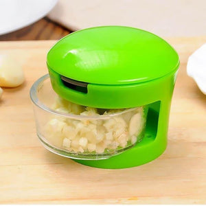 Stainless Steel Eco-Friendly Garlic Press