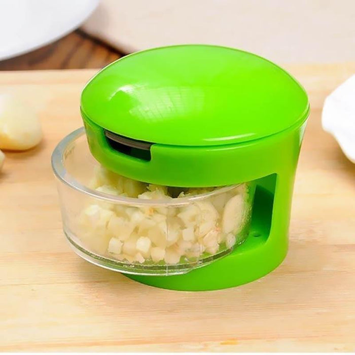 Stainless Steel Eco-Friendly Garlic Press