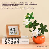Orange Ceramic Small Vase Ornaments Living Room Flower Arrangement Hydroponic Plant Flowers Green Radish