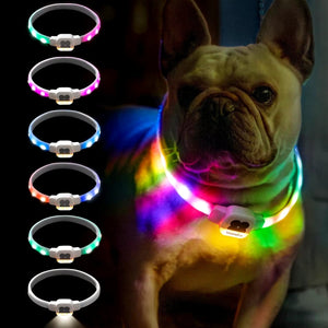 Light up Dog Collar LED with USB Rechargeable Glow in the Dark Waterproof Dog Necklace with 6 Flashing Modes for Dogs