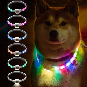 Light up Dog Collar LED with USB Rechargeable Glow in the Dark Waterproof Dog Necklace with 6 Flashing Modes for Dogs