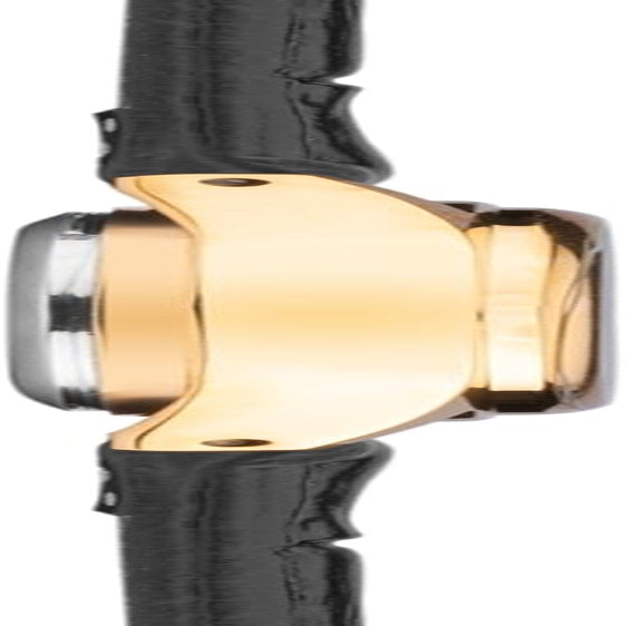 Womens 27Mm Robinson Analogue 3 Hand Classic Quartz Watch Gold Case with White Dial Date Window and Black Leather Strap 30M Water Resistant
