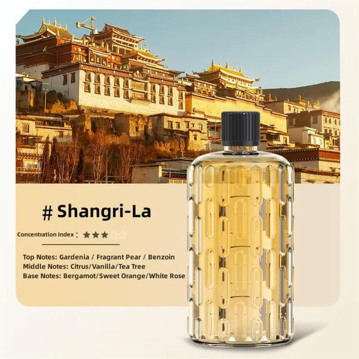 5 Style Automatic Aroma Diffuser Fragrance Essential Oil