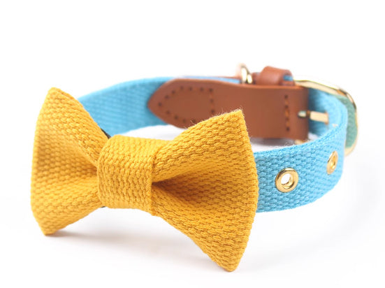 Canvas Hand Holding Rope Leather Stitching Collar Bow