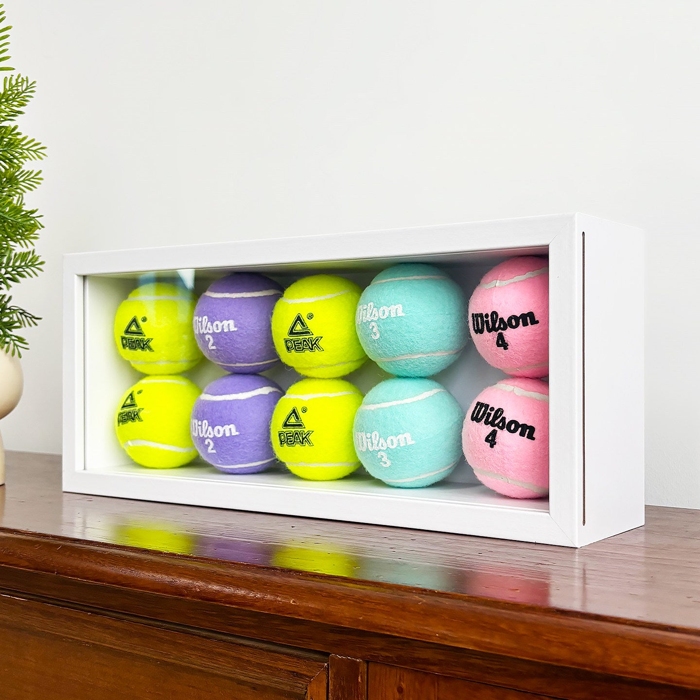Dust-proof Storage And Display Tennis Ball Storage Box