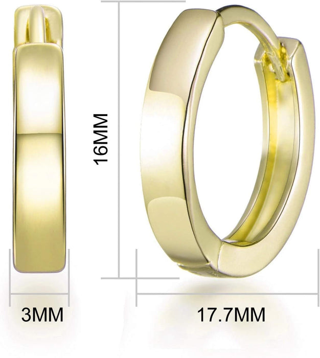 Gold Plated Hoop Earrings