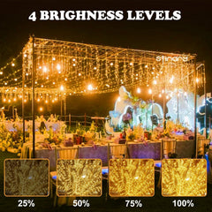 Christmas Tree Lights Plug In,20M 200 LED Outdoor Fairy Light Mains Powered, Waterproof Warm White String Light with Remote/8 Modes/Timer for outside Indoor Garden Bedroom Decorations