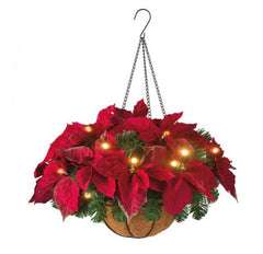 ec1fb7aaae3ea2be2f533b2e33efcff3